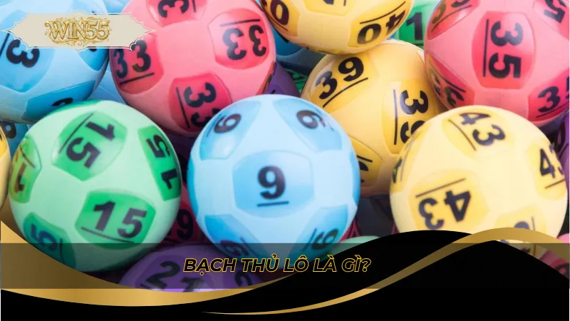Bạch thủ lô là gì?