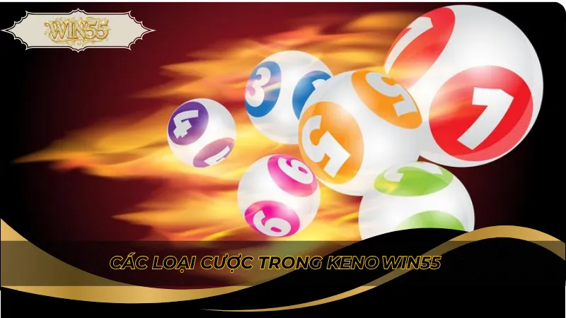 Các loại cược trong Keno Win55